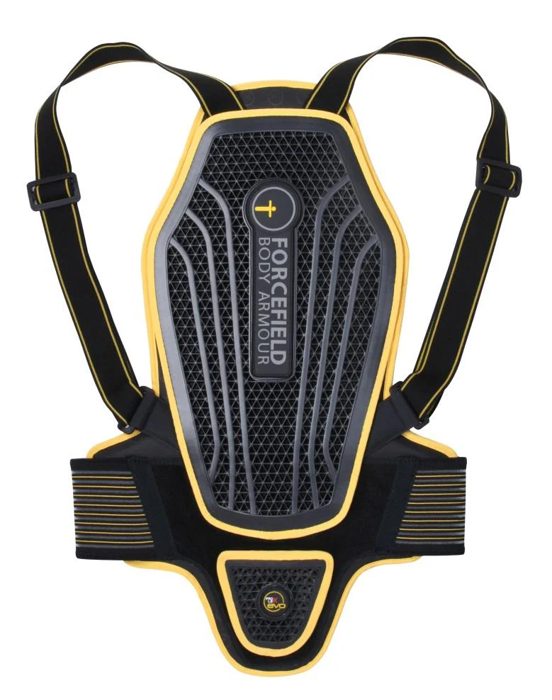 Miniatyr 1