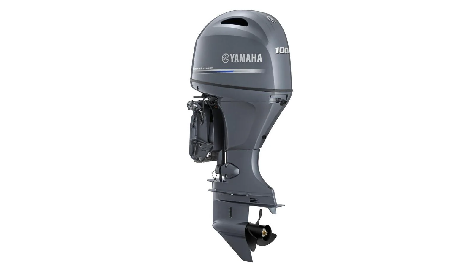 Miniatyr 1